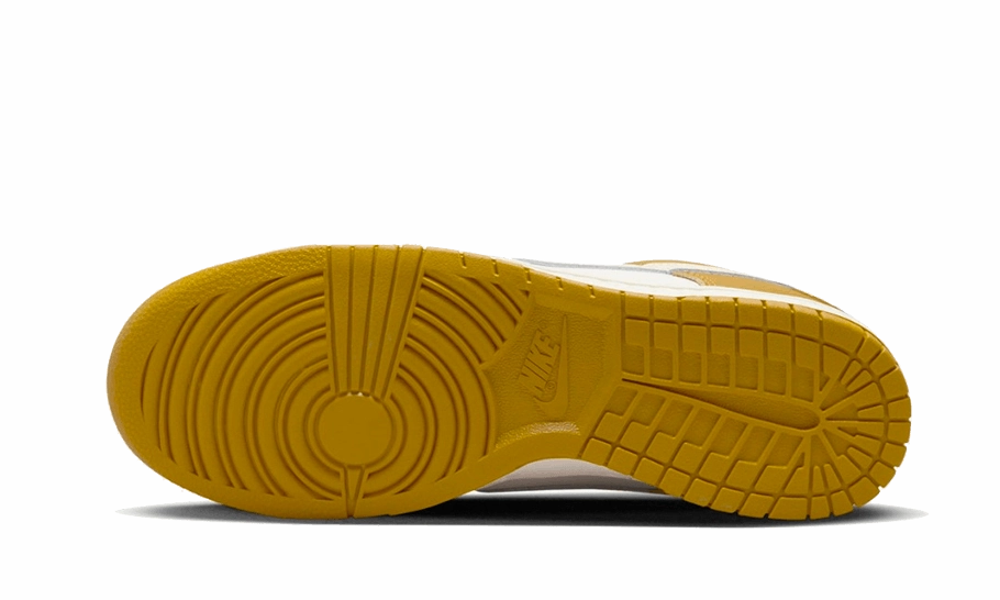 Nike Olympic Shoes 2024 Nike Dunk Low Retro Bronzine Coconut Milk