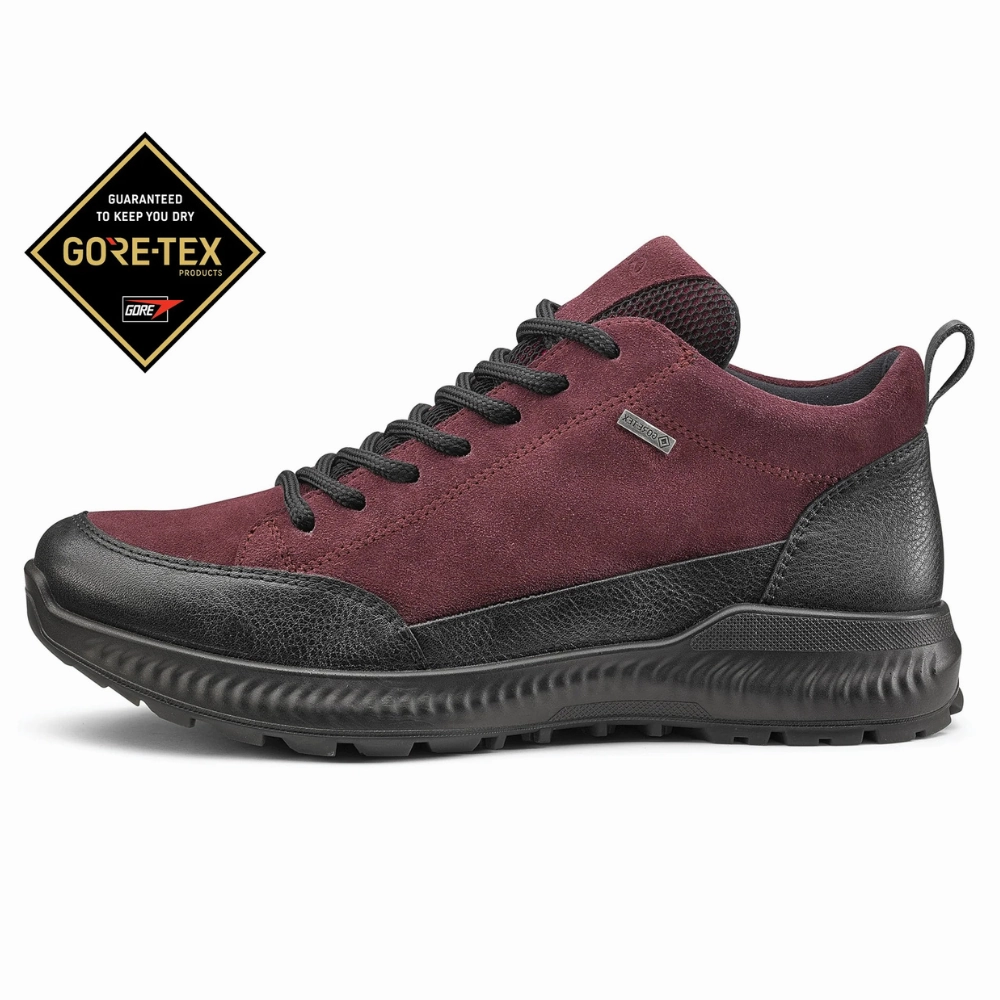 Camino Hiking Shoes Ara Highland GORE-TEX Berry Suede Hiker Bootie (Women's)