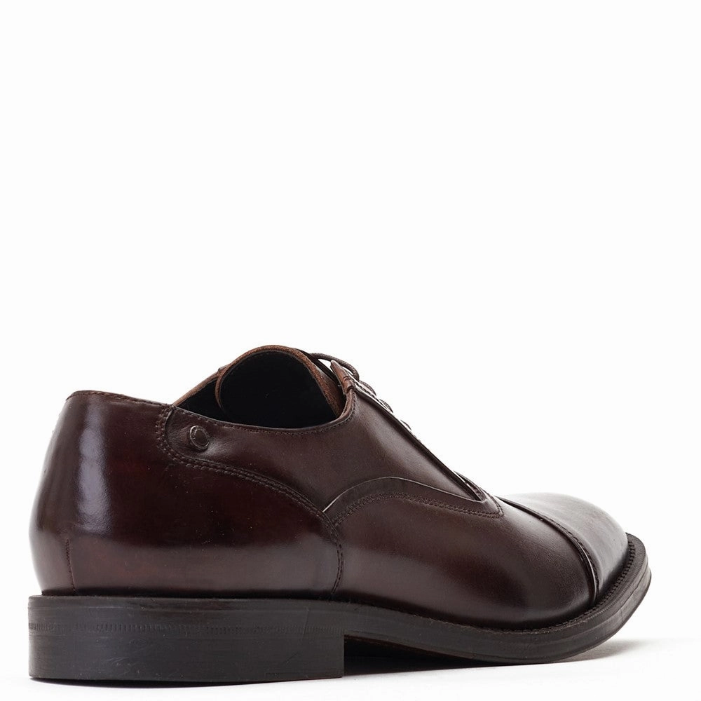 2.zerogrand Laser Wing Oxford Shoes Base London Wilson Waxy Shoe