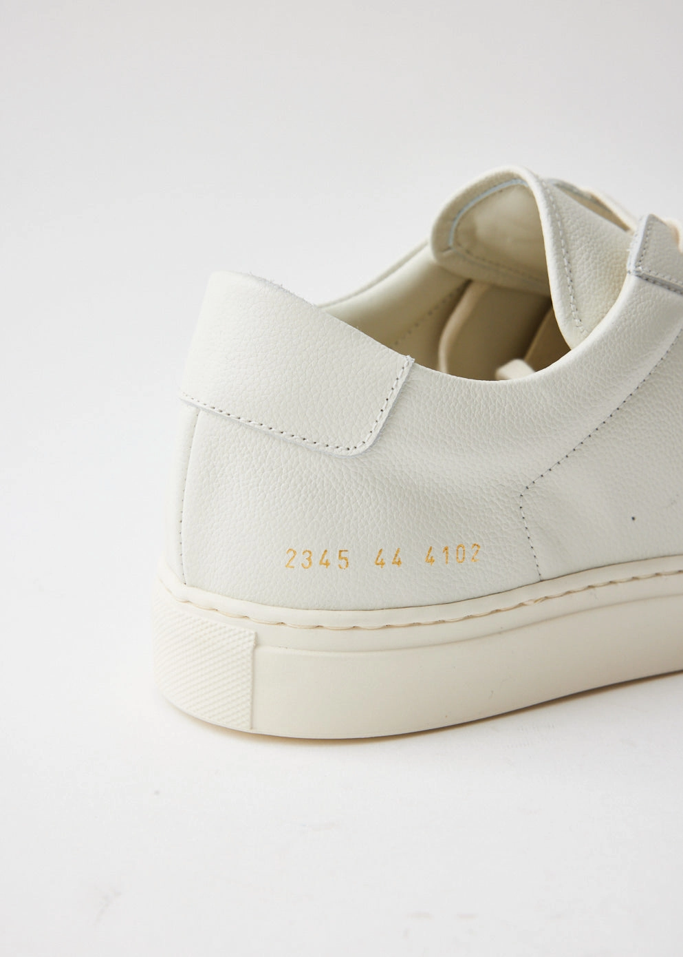 Bball Low Sneakers Basketball Shoes On Court