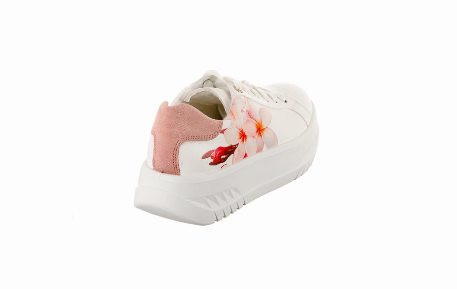 Ara Cherry Brogue Schuhe