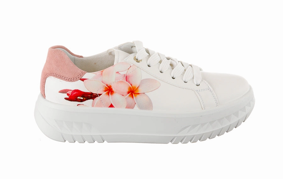 British Brogues Ara Cherry