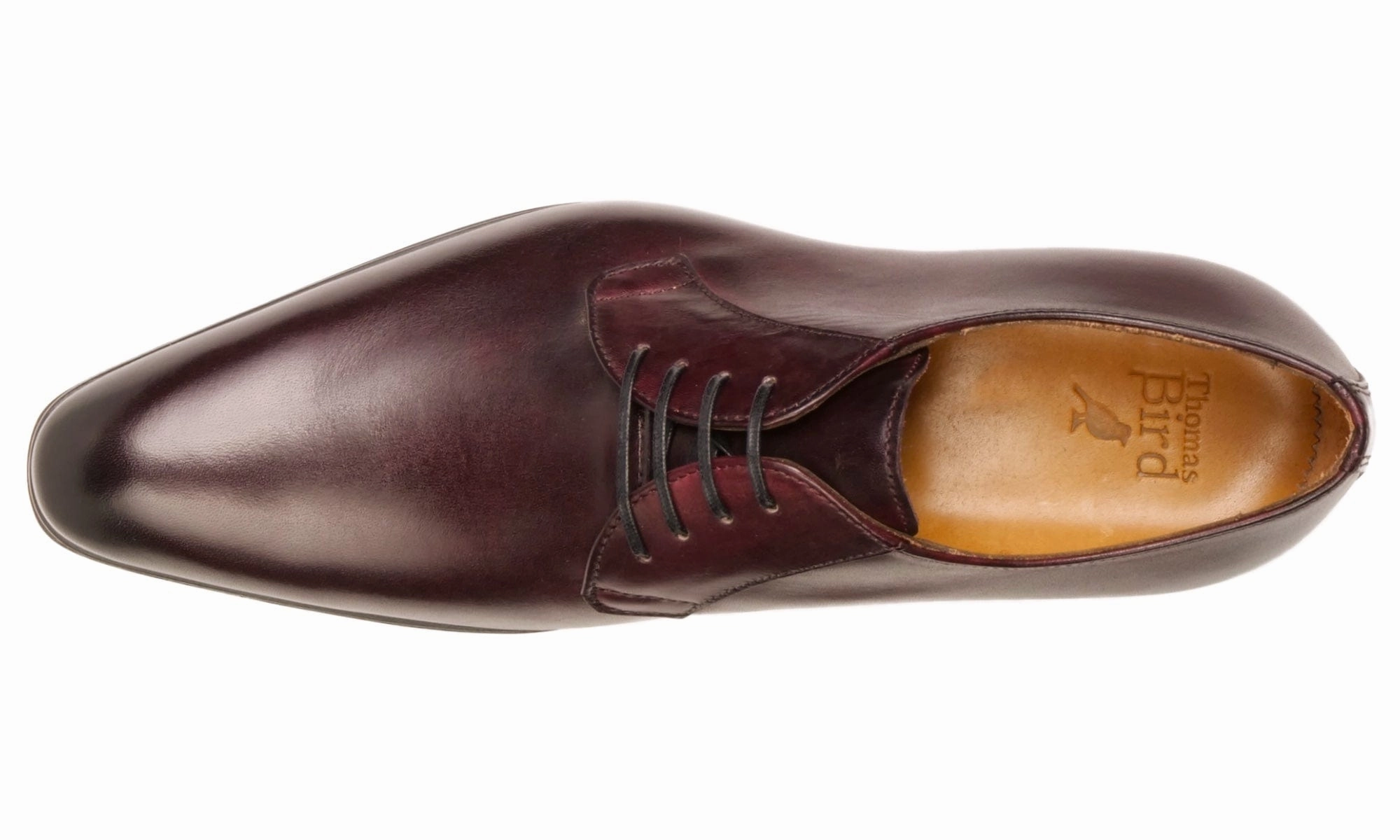Buckingham Derby Blucher Oxblood Derby Shoe Outlet