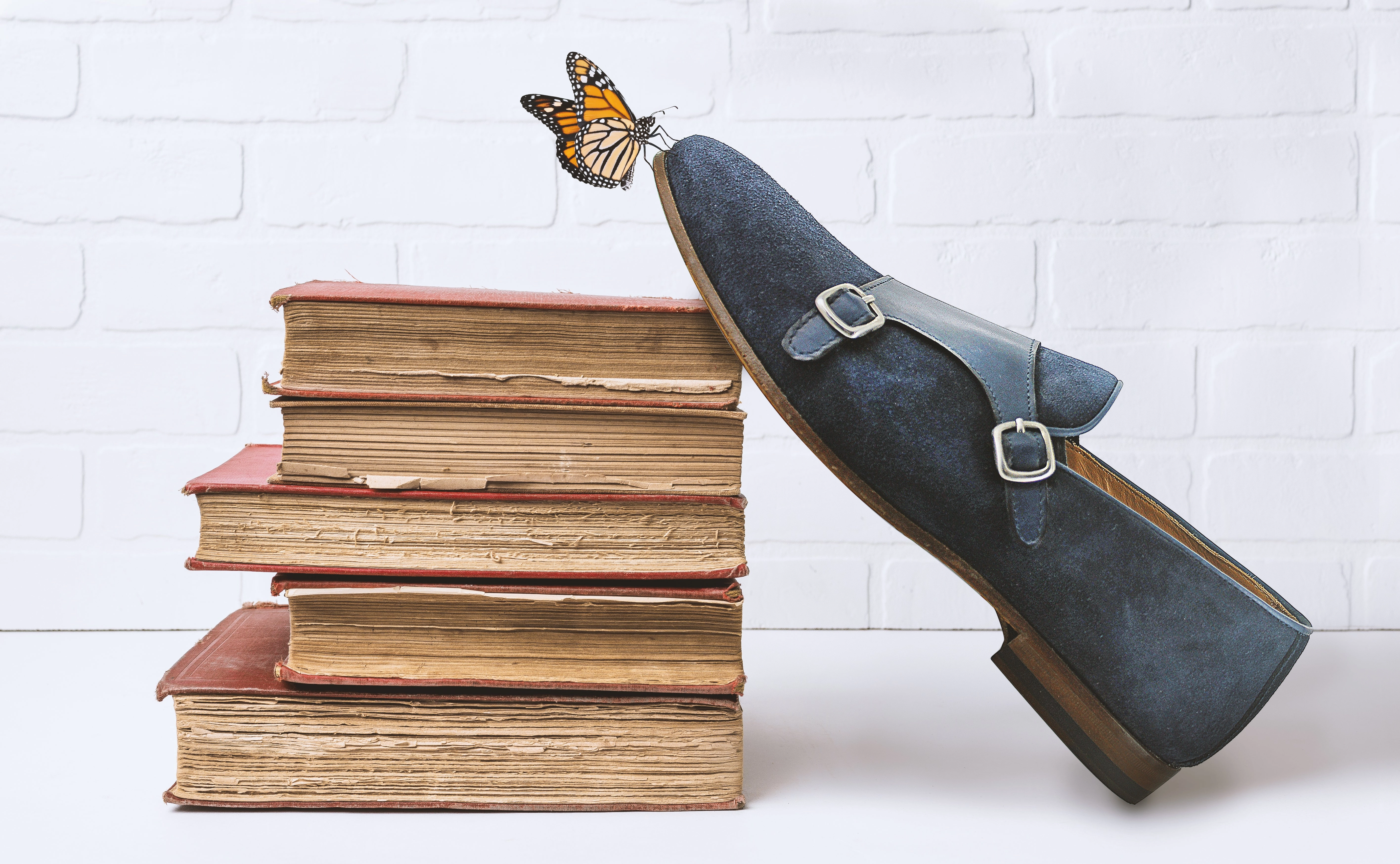 C246 - Velour Winter Aldo Brogues