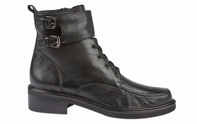 Don Dialog Tan Oxford Brogue Shoes