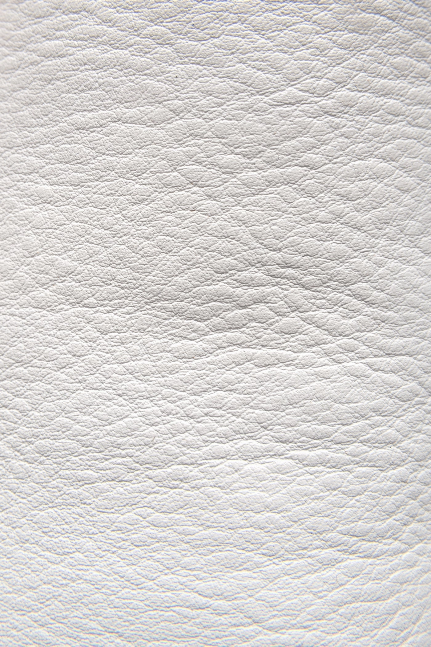 Lena Slip On - Frye Found Slip On Sneakers Slip On Sneakers Slip On Sneakers Slip On Sneakers Slip On