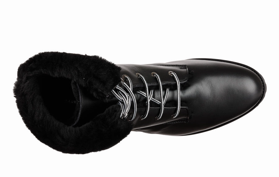 Bb Tidy Giant Brogues