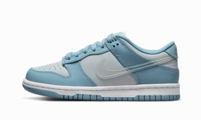 Canvas Nike Shoes Nike Dunk Low Clear Swoosh