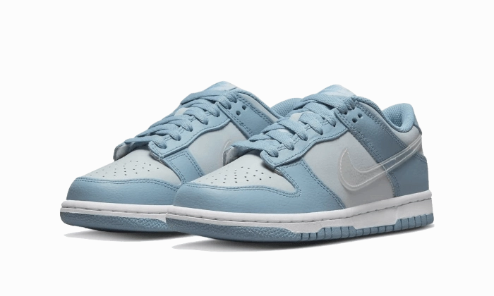 Nike Dunk Low Clear Swoosh Everyday Nike Shoes