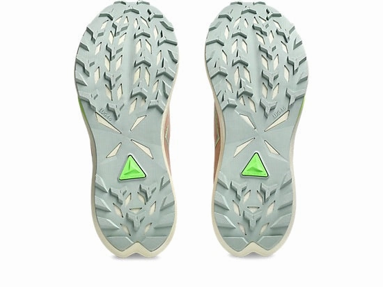 Fuji Lite 6 - Women's Gore Tex Shoes Trail