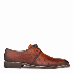 Lace Up Shoes No Tie Tillson Ostrich Derby