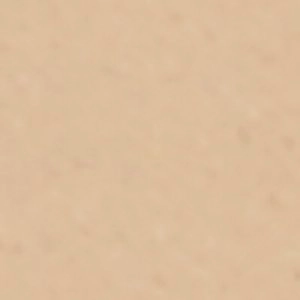 Slip On Shoes W Mary Jane Strap Laneyy