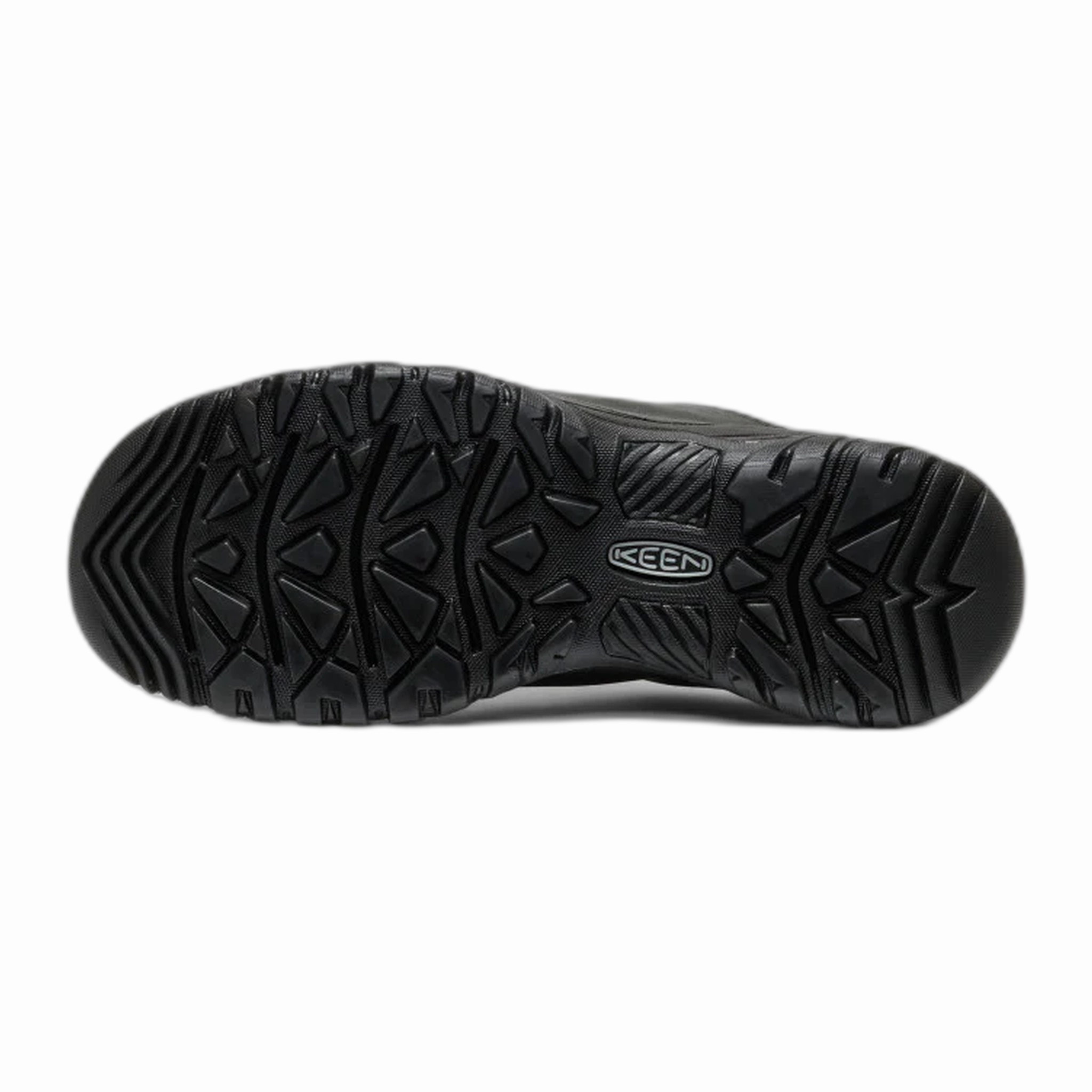 Grand Evolution Wingtip Oxfords Men's Targhee IV Oxford