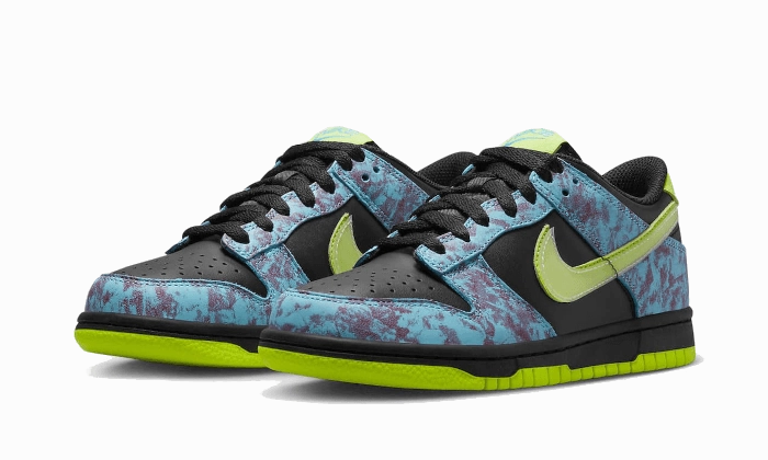 Nike Dunk Low Acid Wash Nike Fly Shoes