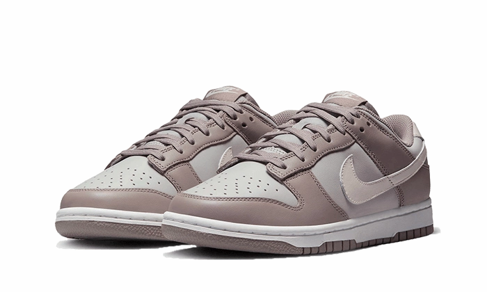 Flat Feet Nike Shoes Nike Dunk Low Bone Beige