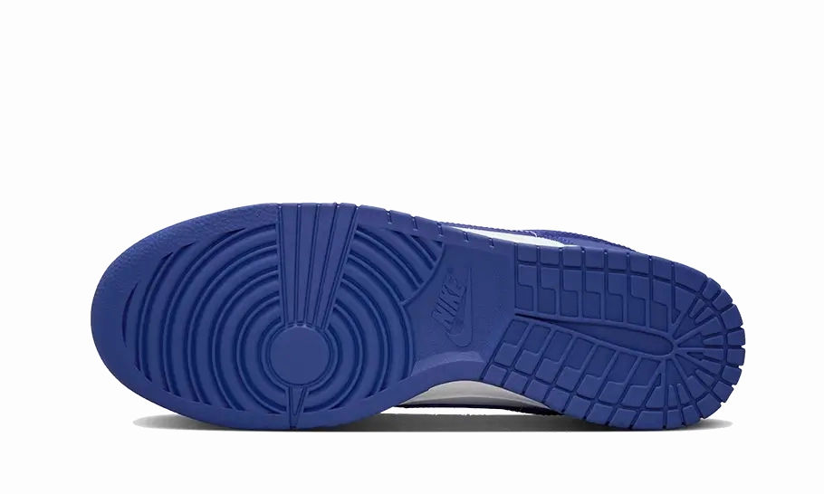 Nike Dunk Low Concord Shoes Like Nike Free Run