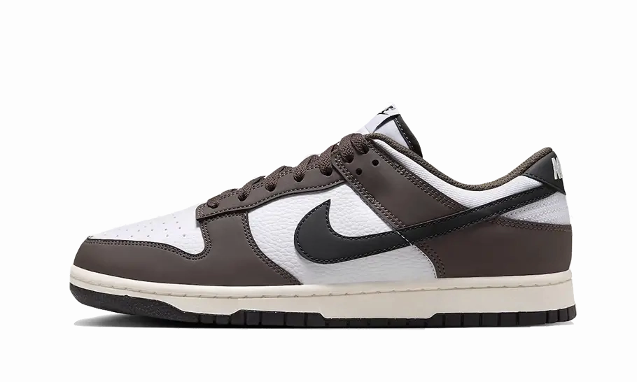 Nike Dunk Low Next Nature Cacao Wow Nike Pros Shoes