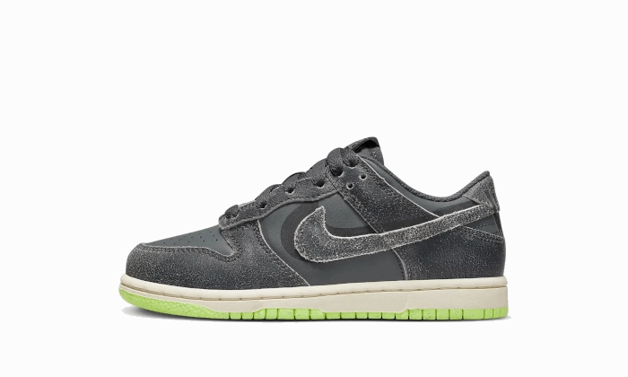 Nike Dunk Low Swoosh Shadow Iron Grey Enfant (PS) Shoes Nike Basketball