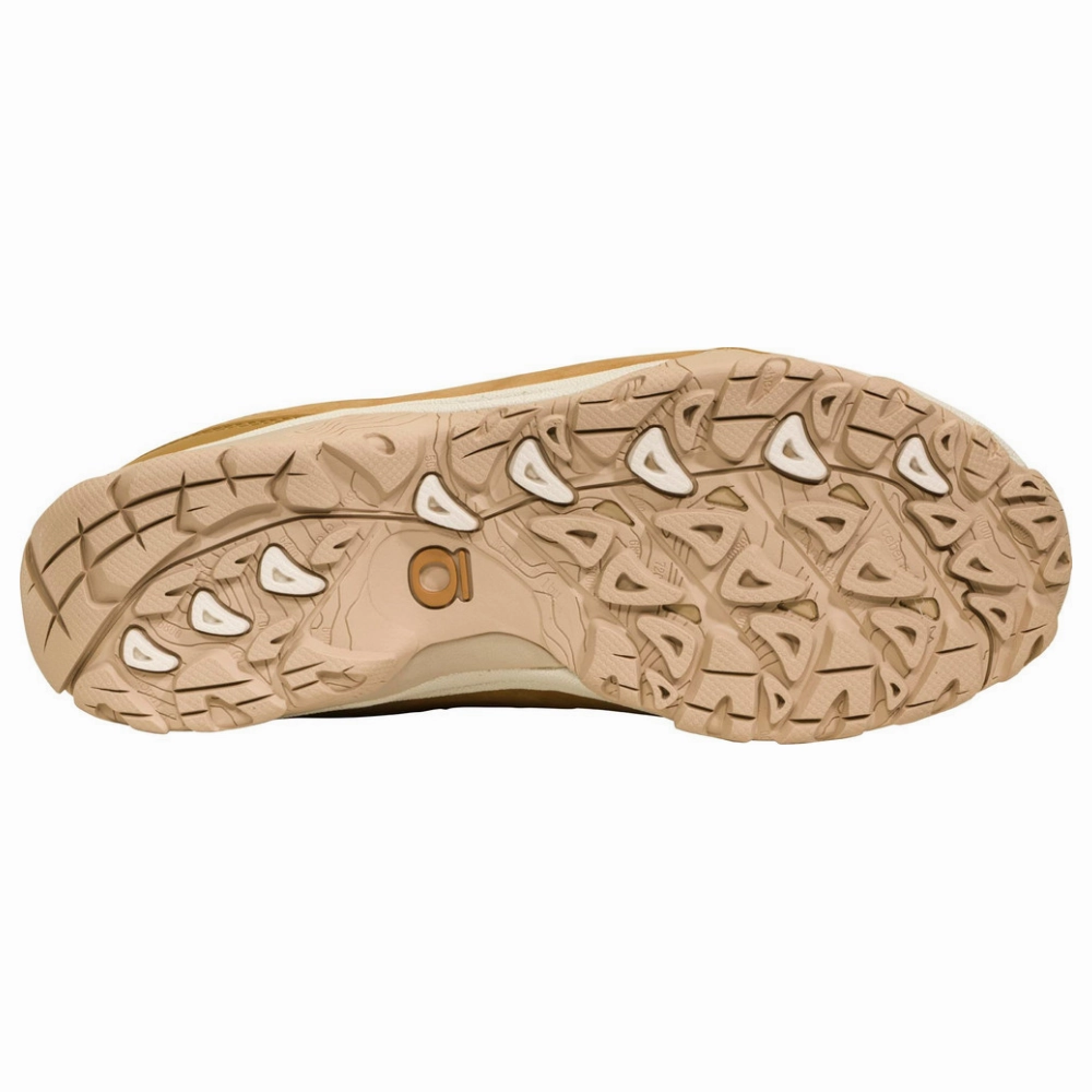 Oboz Ousel Low Rye Waterproof Hiking Shoe (Women's) Best Orthopedic Hiking Shoes