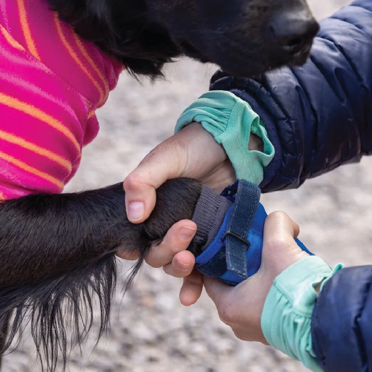 Hi and Light Trail Shoes Hydrotrekker Trail Shoe