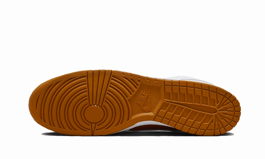 Nike Dunk Low Reverse Curry Splatter Paint Shoes Nike