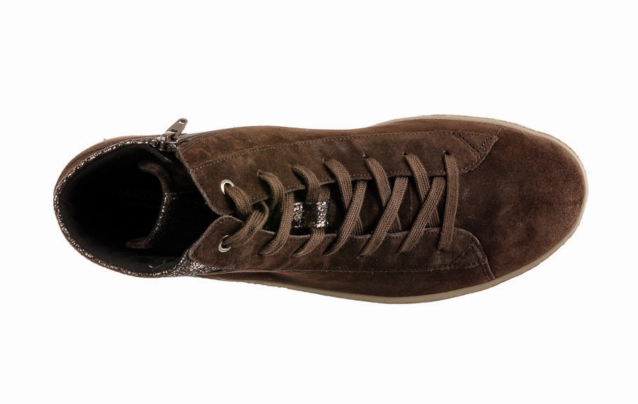 Har Safe Brown Gucci Brogues