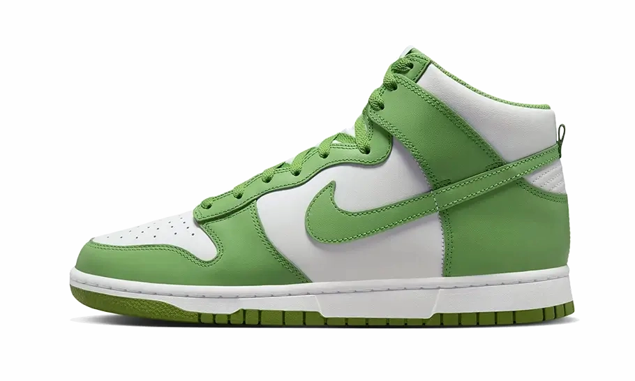 Nike Dunk High Chlorophyll Nike Tanjun Shoes