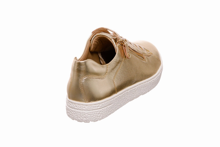 Brogue School Shoes| Har Grass Gold