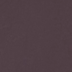 Mary Jane Shoes T Strap Prepp