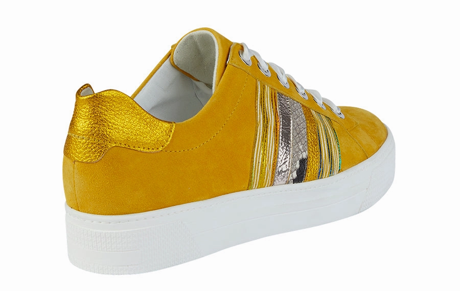 Tape Brogues Sem Samba