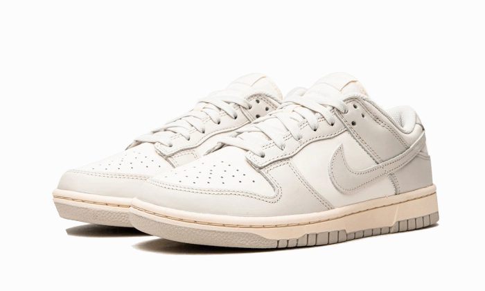 Nike Dunk Low Light Bone Nike Flex Experience Shoes