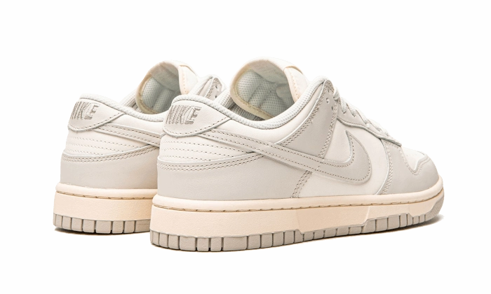 Nike Dunk Low Light Bone Nike React Infinity Pro Golf Shoes