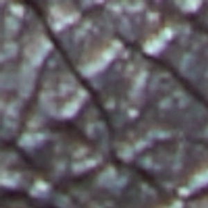 Skirt With Mary Jane Shoes Sofiia