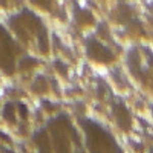 Salome Skechers Shoes Mary Janes