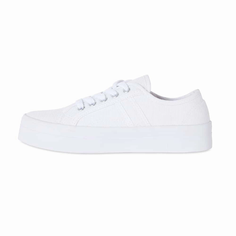 Cheap Casual Shoes Scott Sneaker in White Canvas