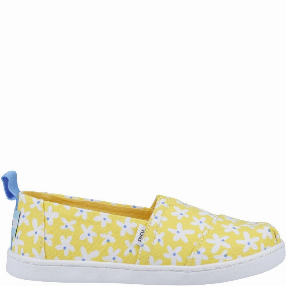 TOMS Alpargata Shoes Casual Campus Shoes