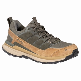 Men's Hyalite Low B-Dry Shoes Shoes For Appalachian Trail
