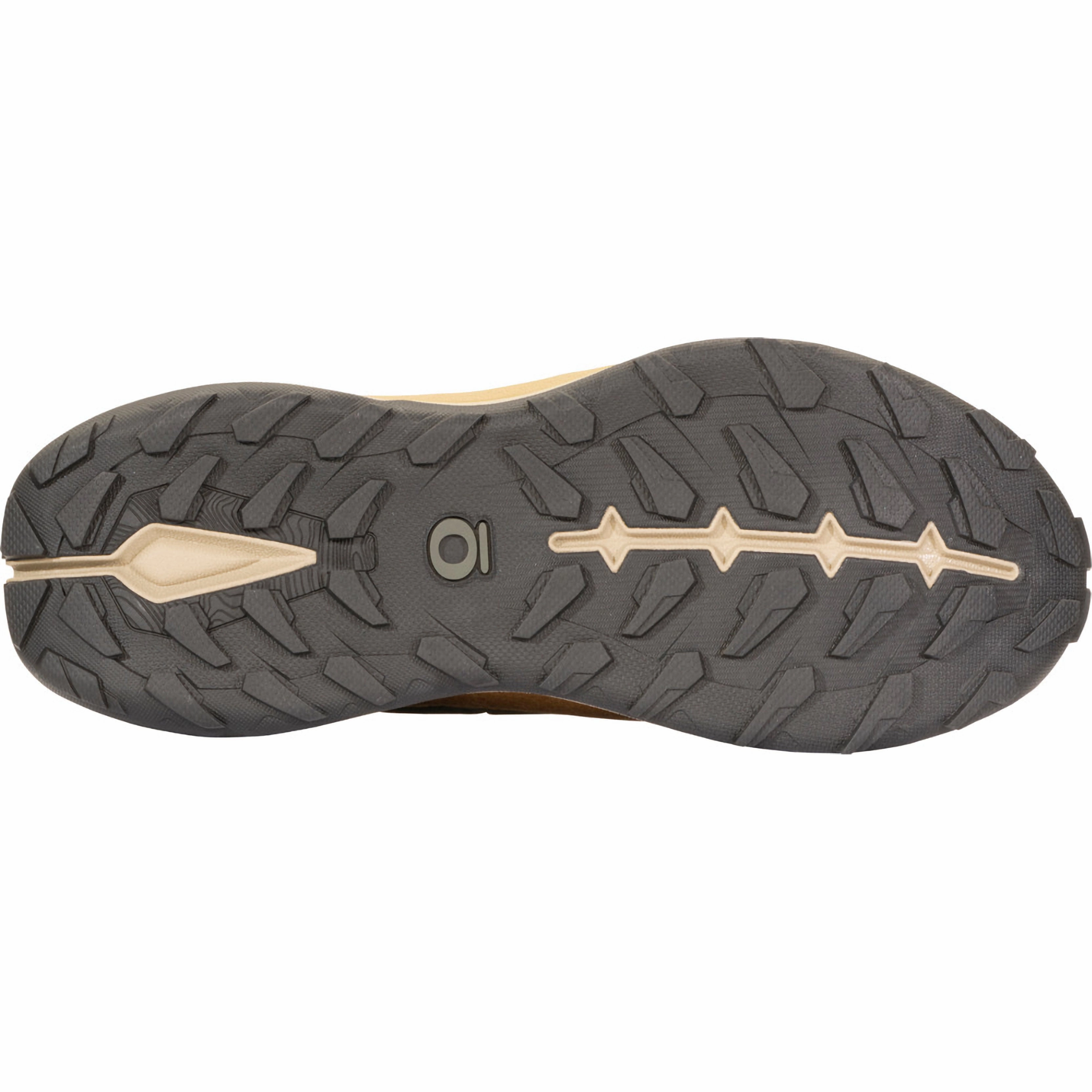 Trail Running Shoe Reviews 2013 Men's Hyalite Low B-Dry Shoes