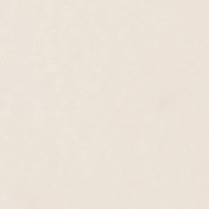 Embellished Mary Janes Shoes Shaiaa