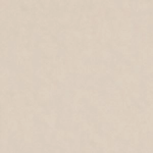 Dorothyy Mary Jane Shoes Demonia