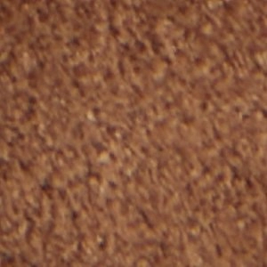 Willlow Leopard Print Mary Janes Shoes