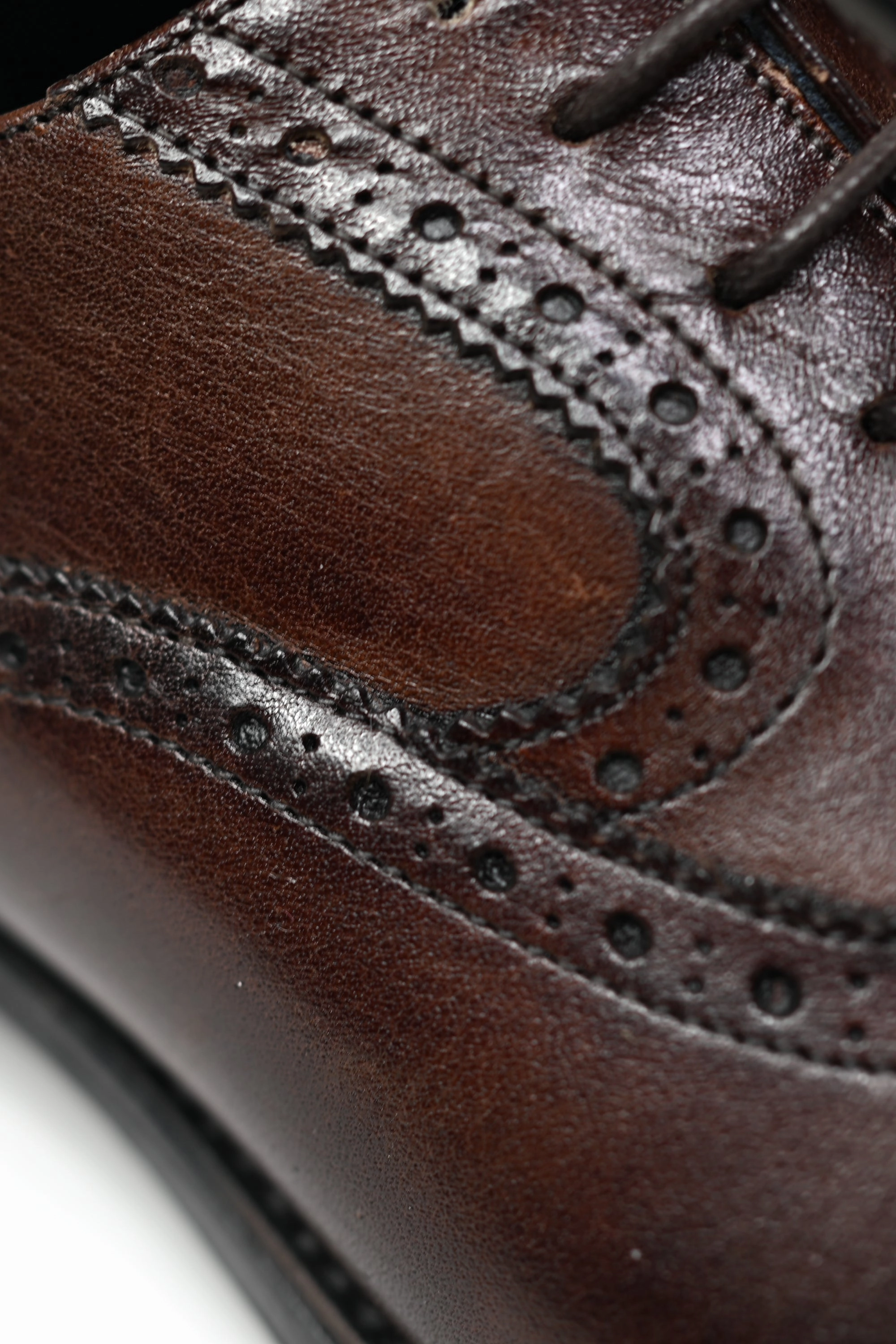 Oxford Classics Firmani Wingtip Oxford