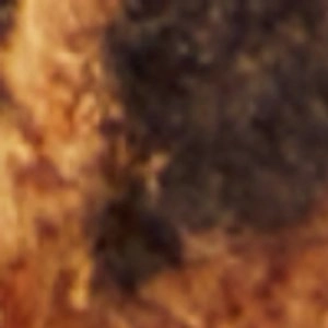 Mary Jane Non-velveteen Cloth Shoes Talita