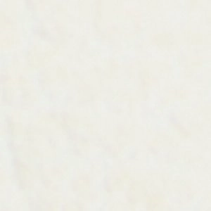 Tempest L'artiste Spring Step Mary Jane Shoe