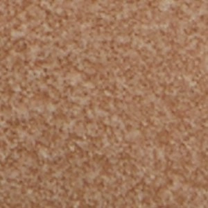 Tenora Mary Jane Shoes Classic