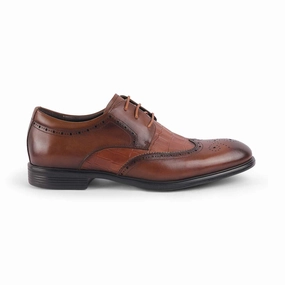 Tresmode Cent Brown Men's Oxford Brogue Lace Ups Brogues Under 200