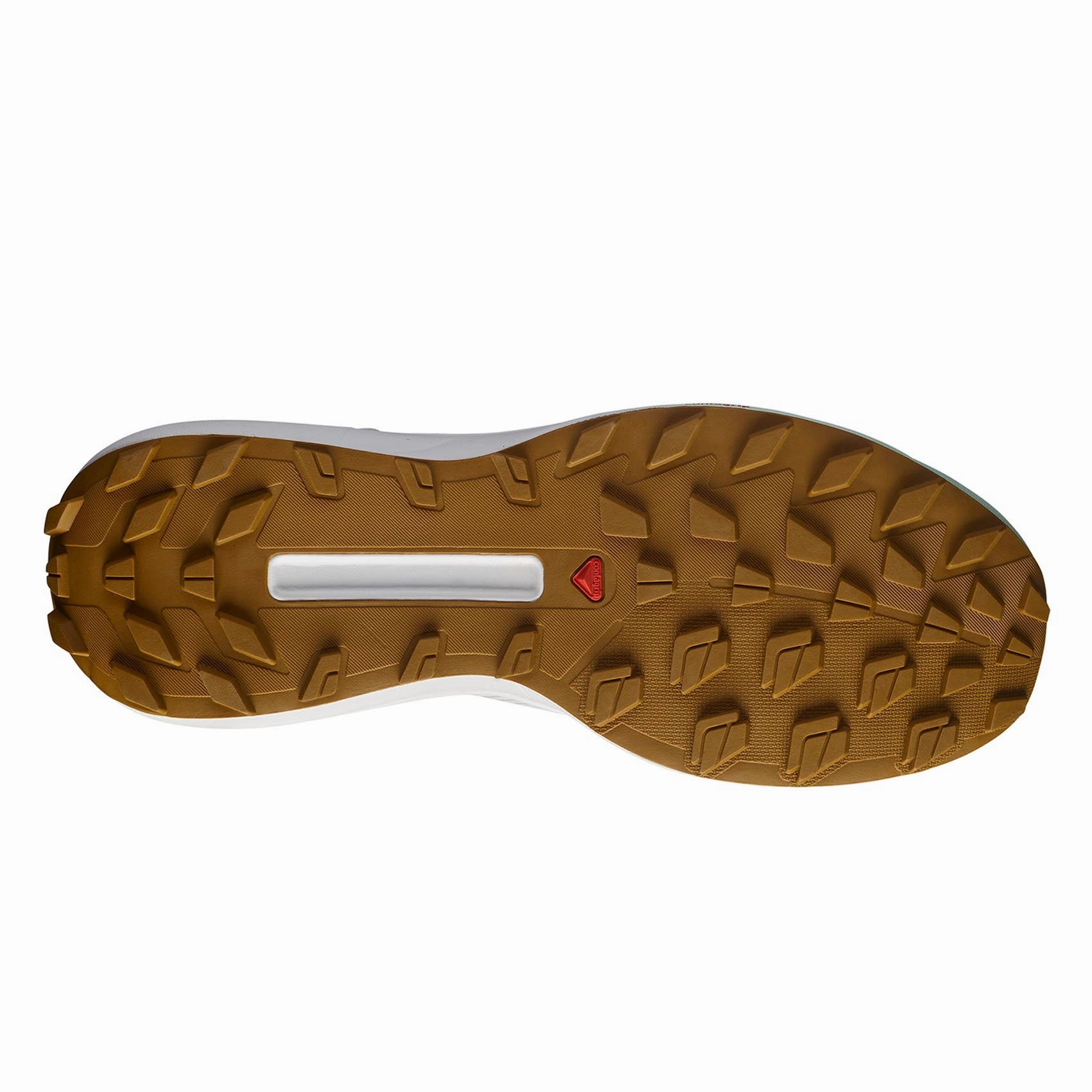 Unisex Salomon S/Lab Genesis LTD Courtney V2 Trail 2650 Hiking Shoe Review