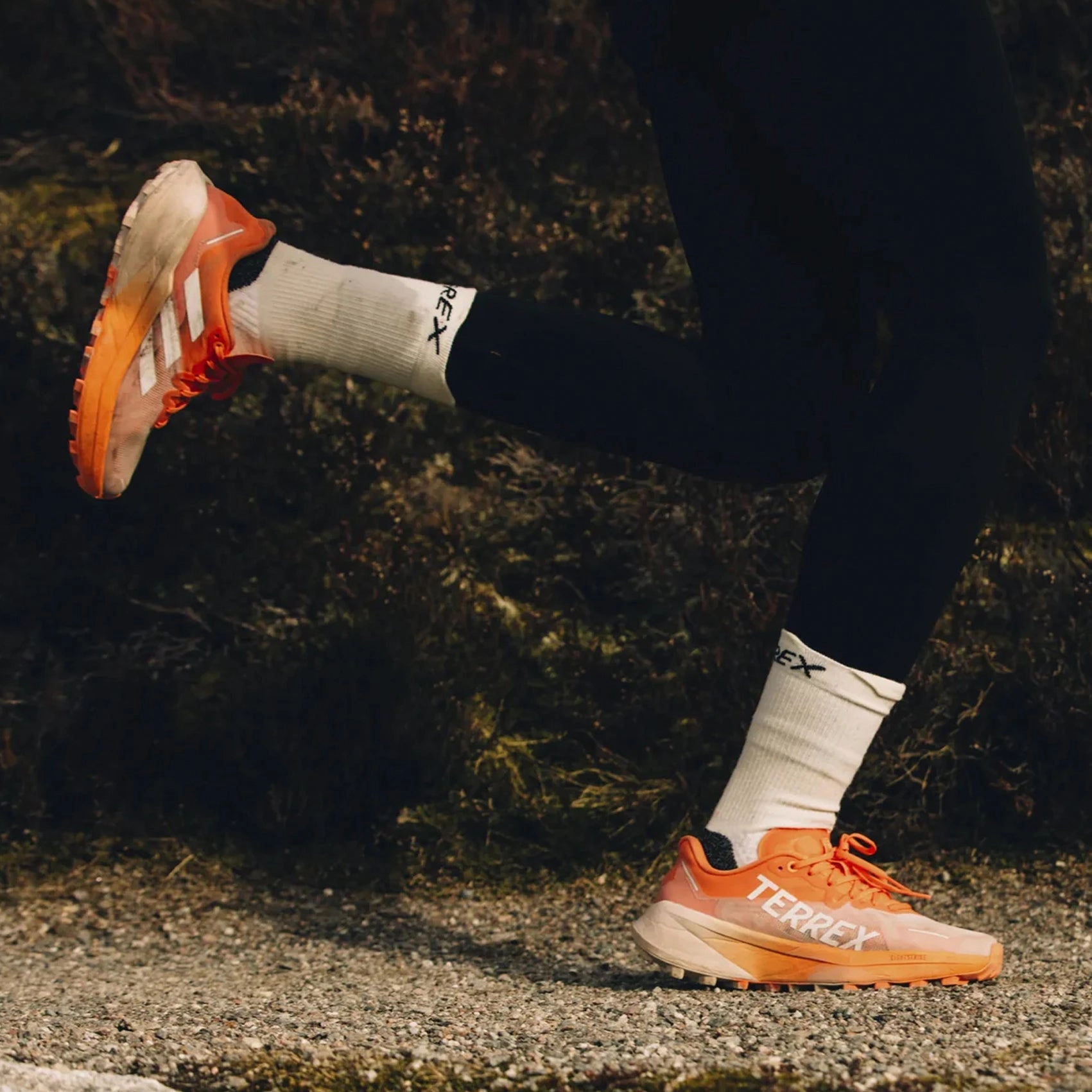 Womens adidas Terrex Agravic 3 Trail Ride Shoes